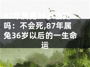 87年属免36岁会死吗：不会死,87年属兔36岁以后的一生命运
