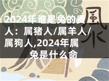 2024年谁是兔的贵人：属猪人/属羊人/属狗人,2024年属兔是什么命
