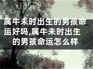 属牛未时出生的男孩命运好吗,属牛未时出生的男孩命运怎么样