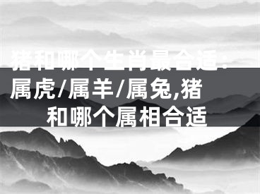 猪和哪个生肖最合适：属虎/属羊/属兔,猪和哪个属相合适