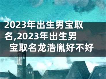 2023年出生男宝取名,2023年出生男宝取名龙浩胤好不好