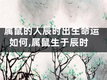 属鼠的人辰时出生命运如何,属鼠生于辰时