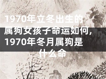 1970年立冬出生的属狗女孩子命运如何,1970年冬月属狗是什么命