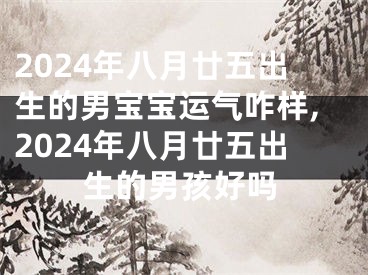 2024年八月廿五出生的男宝宝运气咋样,2024年八月廿五出生的男孩好吗