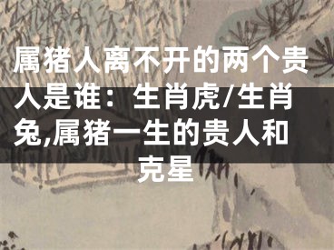 属猪人离不开的两个贵人是谁：生肖虎/生肖兔,属猪一生的贵人和克星