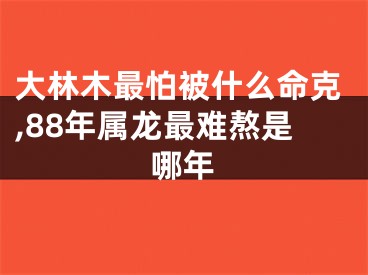 大林木最怕被什么命克,88年属龙最难熬是哪年