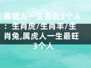 属猪人一生最旺3个人：生肖虎/生肖羊/生肖兔,属虎人一生最旺3个人