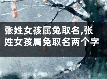 张姓女孩属兔取名,张姓女孩属兔取名两个字