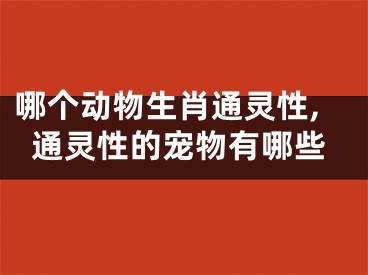 哪个动物生肖通灵性,通灵性的宠物有哪些