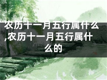 农历十一月五行属什么,农历十一月五行属什么的