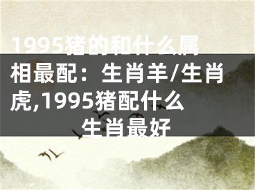1995猪的和什么属相最配：生肖羊/生肖虎,1995猪配什么生肖最好