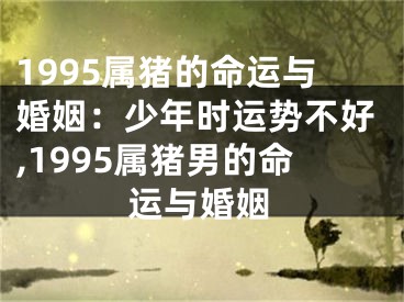 1995属猪的命运与婚姻：少年时运势不好,1995属猪男的命运与婚姻