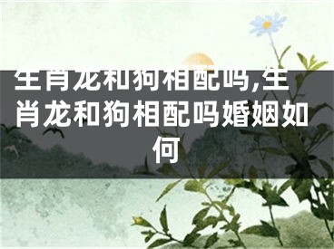 生肖龙和狗相配吗,生肖龙和狗相配吗婚姻如何