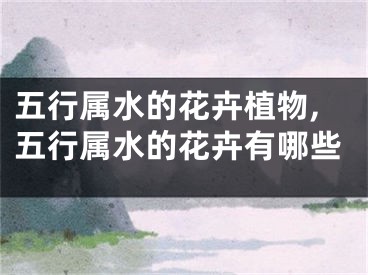 五行属水的花卉植物,五行属水的花卉有哪些