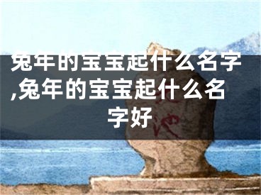 兔年的宝宝起什么名字,兔年的宝宝起什么名字好