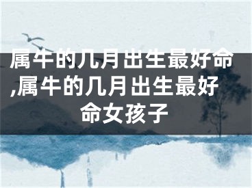 属牛的几月出生最好命,属牛的几月出生最好命女孩子