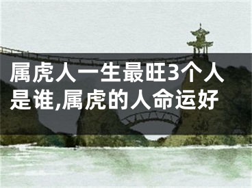 属虎人一生最旺3个人是谁,属虎的人命运好