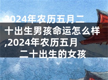2024年农历五月二十出生男孩命运怎么样,2024年农历五月二十出生的女孩