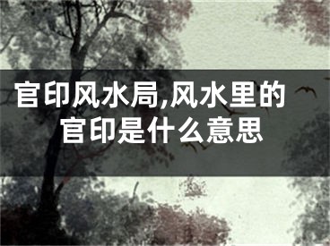 官印风水局,风水里的官印是什么意思