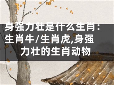 身强力壮是什么生肖：生肖牛/生肖虎,身强力壮的生肖动物