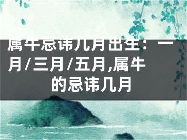 属牛忌讳几月出生：一月/三月/五月,属牛的忌讳几月