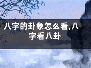 八字的卦象怎么看,八字看八卦