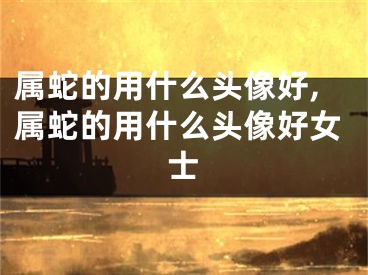 属蛇的用什么头像好,属蛇的用什么头像好女士