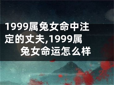 1999属兔女命中注定的丈夫,1999属兔女命运怎么样
