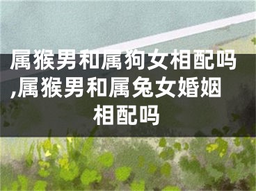 属猴男和属狗女相配吗,属猴男和属兔女婚姻相配吗