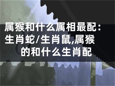 属猴和什么属相最配：生肖蛇/生肖鼠,属猴的和什么生肖配
