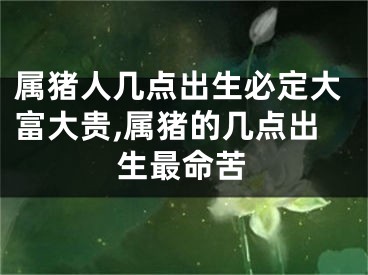 属猪人几点出生必定大富大贵,属猪的几点出生最命苦