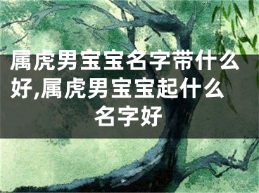 属虎男宝宝名字带什么好,属虎男宝宝起什么名字好