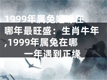 1999年属兔姻缘在哪年最旺盛：生肖牛年,1999年属兔在哪一年遇到正缘