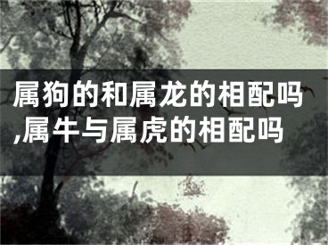 属狗的和属龙的相配吗,属牛与属虎的相配吗