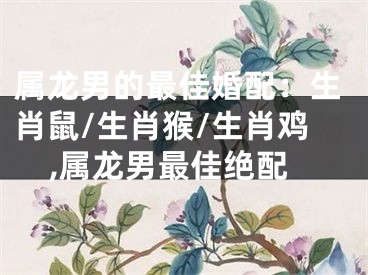 属龙男的最佳婚配：生肖鼠/生肖猴/生肖鸡,属龙男最佳绝配