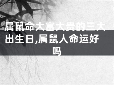 属鼠命大富大贵的三大出生日,属鼠人命运好吗