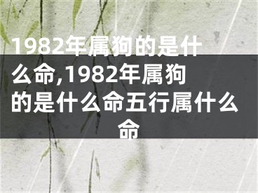 1982年属狗的是什么命,1982年属狗的是什么命五行属什么命