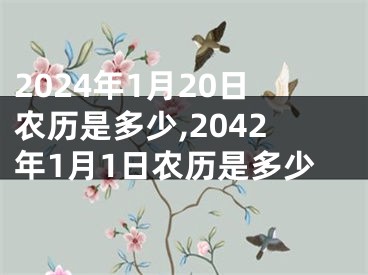 2024年1月20日农历是多少,2042年1月1日农历是多少