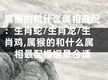 属猴的和什么属相最配：生肖蛇/生肖龙/生肖鸡,属猴的和什么属相最配婚姻最合适