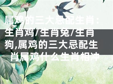 属鸡的三大忌配生肖：生肖鸡/生肖兔/生肖狗,属鸡的三大忌配生肖属鸡什么生肖相冲