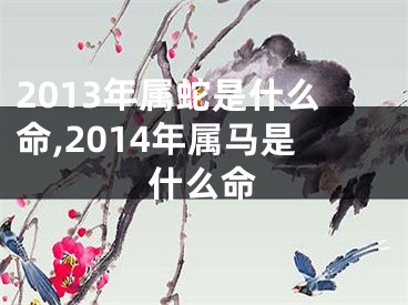 2013年属蛇是什么命,2014年属马是什么命