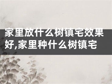 家里放什么树镇宅效果好,家里种什么树镇宅