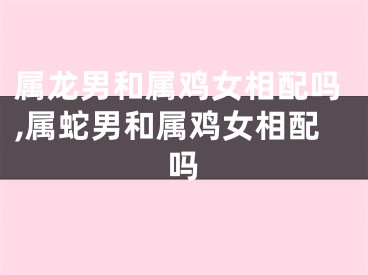属龙男和属鸡女相配吗,属蛇男和属鸡女相配吗