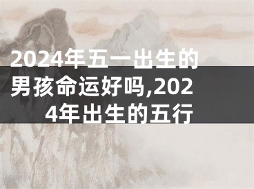 2024年五一出生的男孩命运好吗,2024年出生的五行