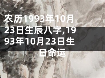 农历1993年10月23日生辰八字,1993年10月23日生日命运