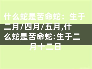 什么蛇是苦命蛇：生于二月/四月/五月,什么蛇是苦命蛇:生于二月十二日