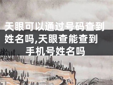 天眼可以通过号码查到姓名吗,天眼查能查到手机号姓名吗