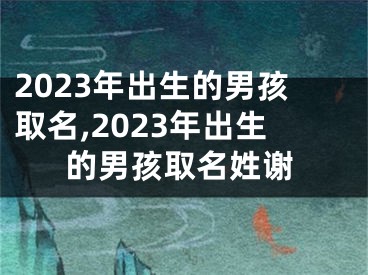 2023年出生的男孩取名,2023年出生的男孩取名姓谢