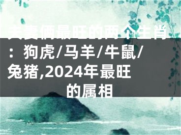 夫妻俩最旺的两个生肖：狗虎/马羊/牛鼠/兔猪,2024年最旺的属相