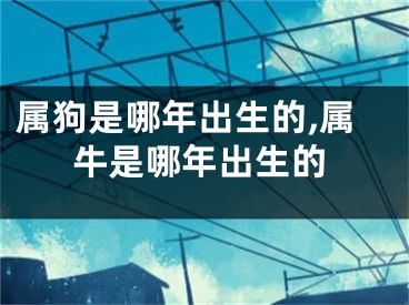 属狗是哪年出生的,属牛是哪年出生的